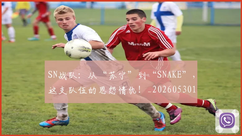 SN战队：从“苏宁”到“SNAKE”，这支队伍的恩怨情仇！_20260530143738