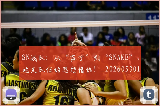 SN战队：从“苏宁”到“SNAKE”，这支队伍的恩怨情仇！_20260530143738